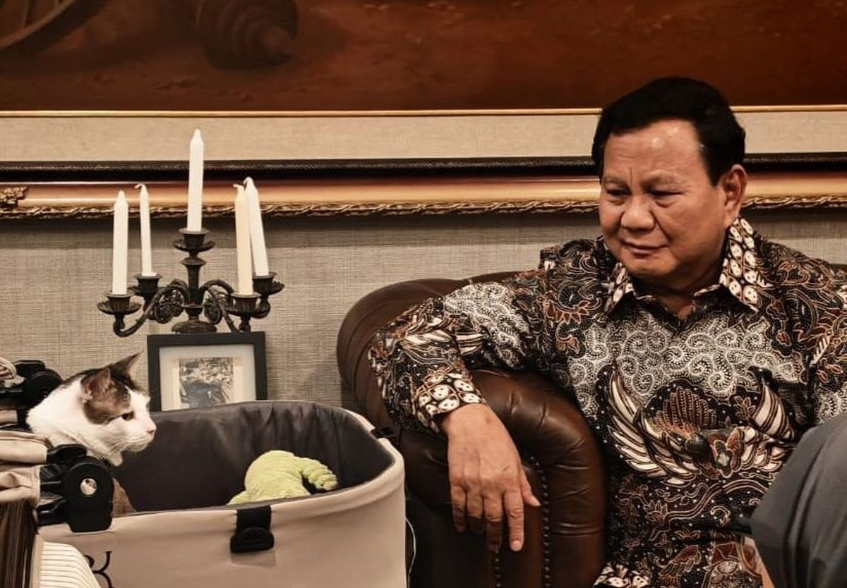4 Pemimpin Negara yang Mempunyai Kucing, Lucu dan Menggemaskan. (Foto: iNews Media Group)