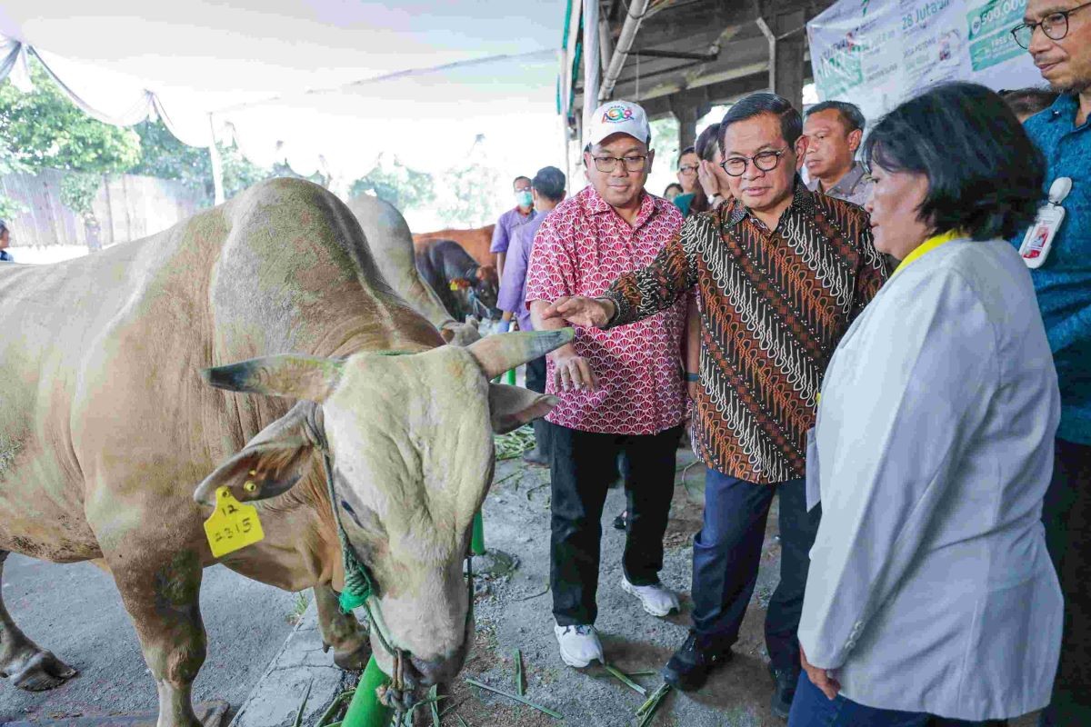  Dok. Pemprov DKI Jakarta)