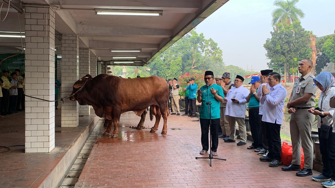 Lolos Pemeriksaan Kesehatan, Daging Sapi Kurban Prabowo-Gibran Dinyatakan Layak Konsumsi. (Foto Binti M/IMG)