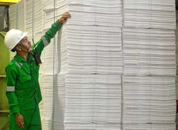 Toba Pulp (INRU) Diakuisisi Perusahaan Hong Kong yang Baru Seumur Jagung, Ini Kata Manajemen (Foto: dok INRU)