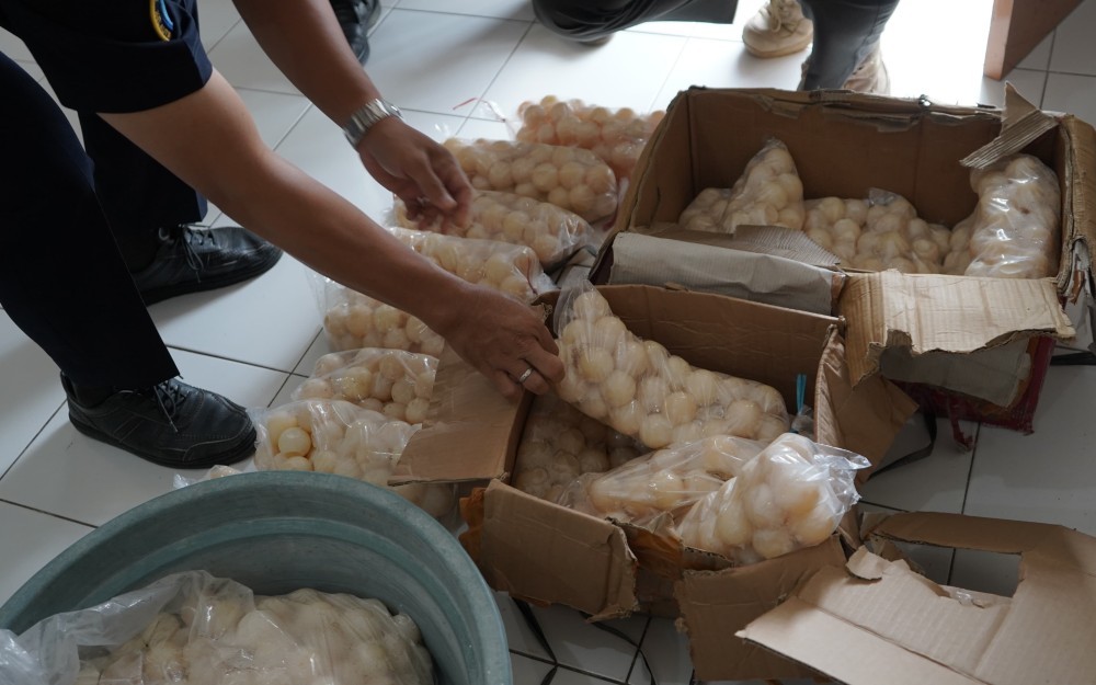 Kementerian Kelautan dan Perikanan (KKP) dan Polri Gagalkan Perdagangan 671 Telur Penyu di Anambas (Foto: KKP)