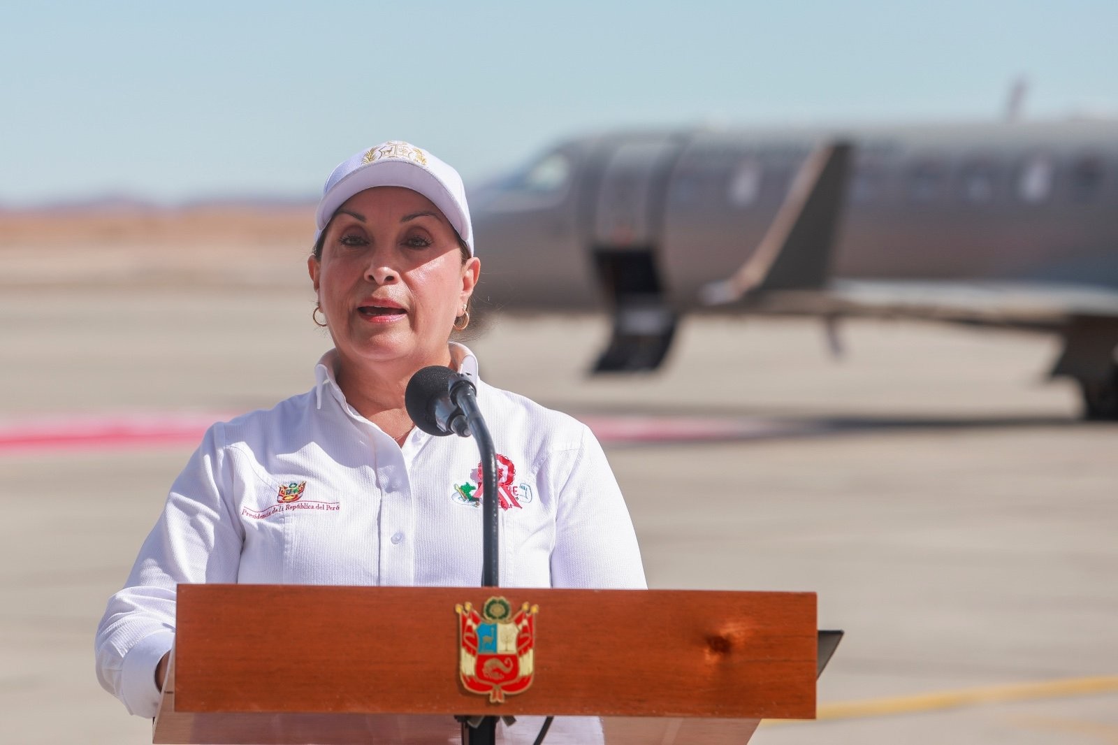 Presiden Peru Bakal Kunjungi Indonesia, Ini Agendanya. (Foto: X/@presidenciaperu)