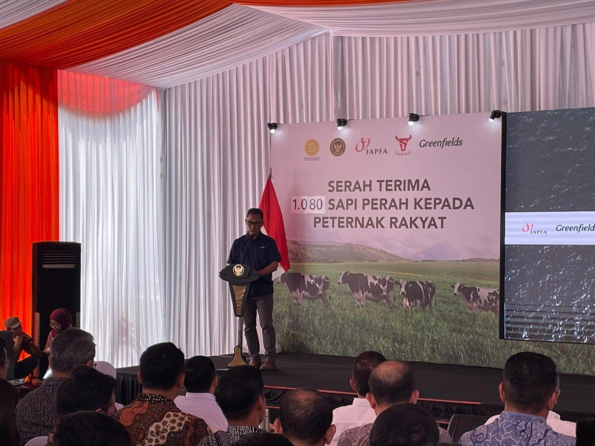 1.080 Sapi Perah dari Australia Tiba di RI, Siap Perkuat Produksi Susu Nasional. (Foto Tangguh/IMG)