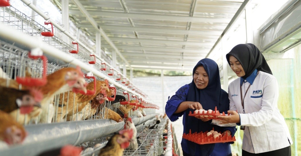 Bantu Ekonomi dan Pangan, PNM Bagikan 240 Ekor Ayam (FOTO:Dok PNM)