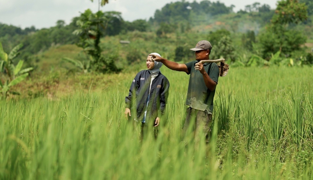 BRI (BBRI) Kucurkan KUR Rp83,38 triliun, Sektor Pertanian Mendominasi (FOTO:Dok BBRI)
