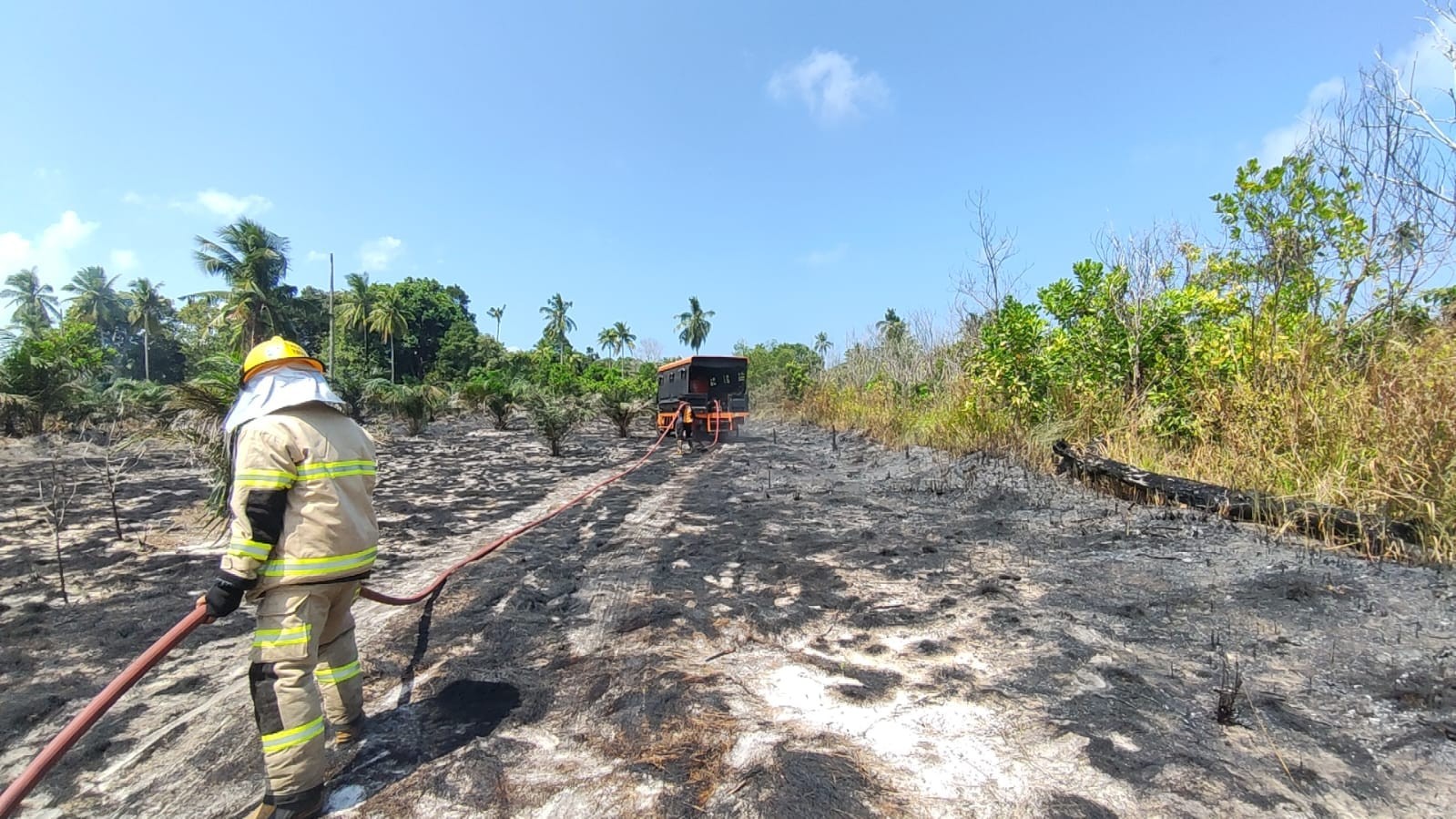 Modifikasi Cuaca Digelar di Riau, Sumbar, dan Kalbar untuk Percepat Penanganan Karhutla. (Foto Istimewa)