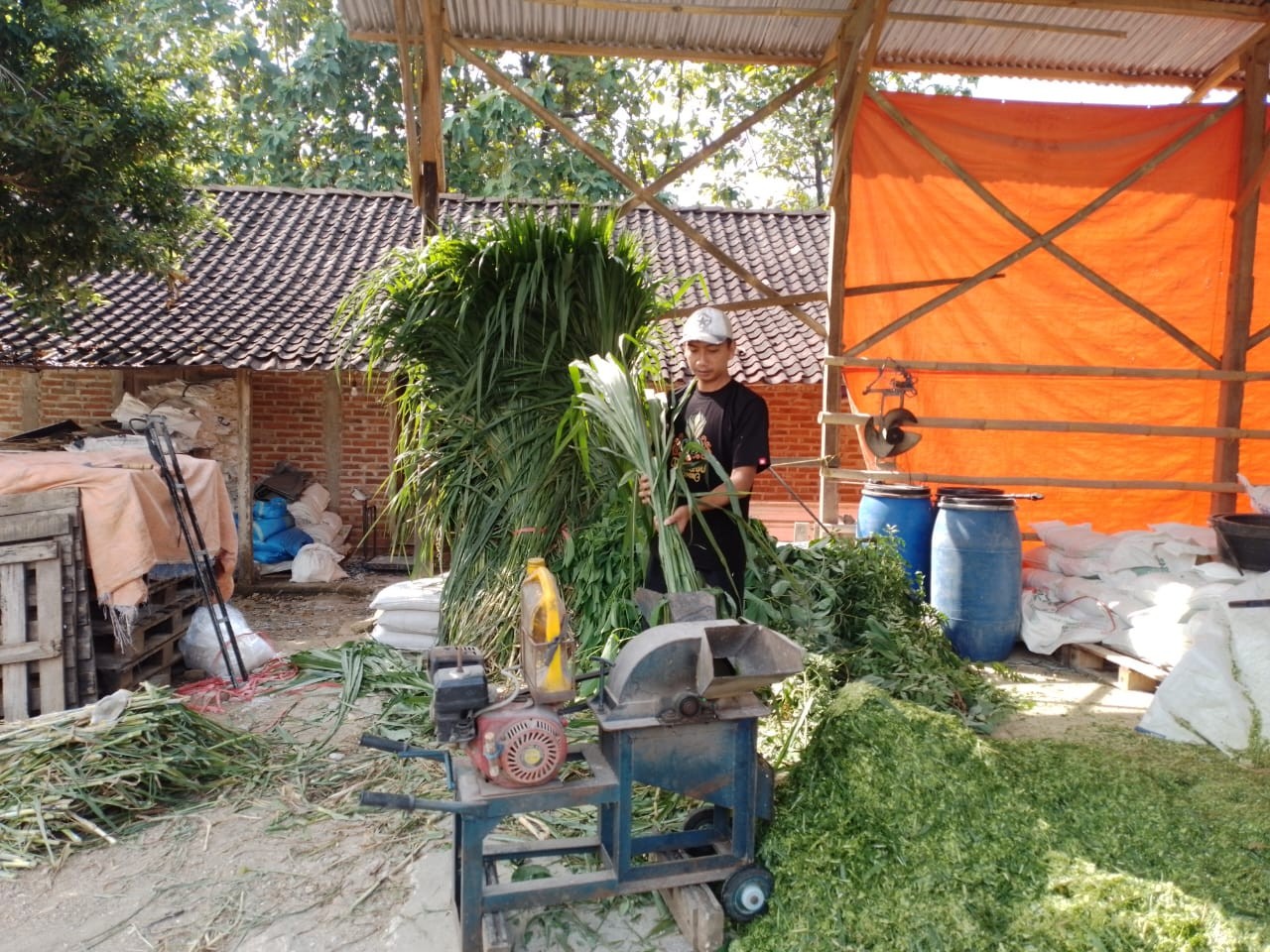 Pengusaha Pakan Ternak Ini Buktikan KUR BRI (BBRI) Bikin Usaha Berkembang (FOTO:Dok BRI)