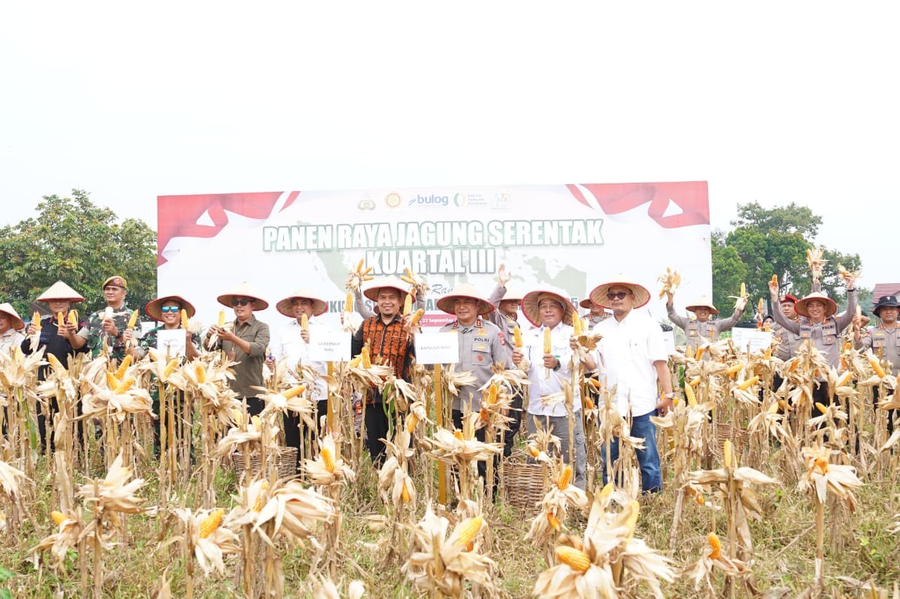 Polisi melaksanakan Panen Raya Jagung Serentak Kuartal III Tahun 2025 di Riau.