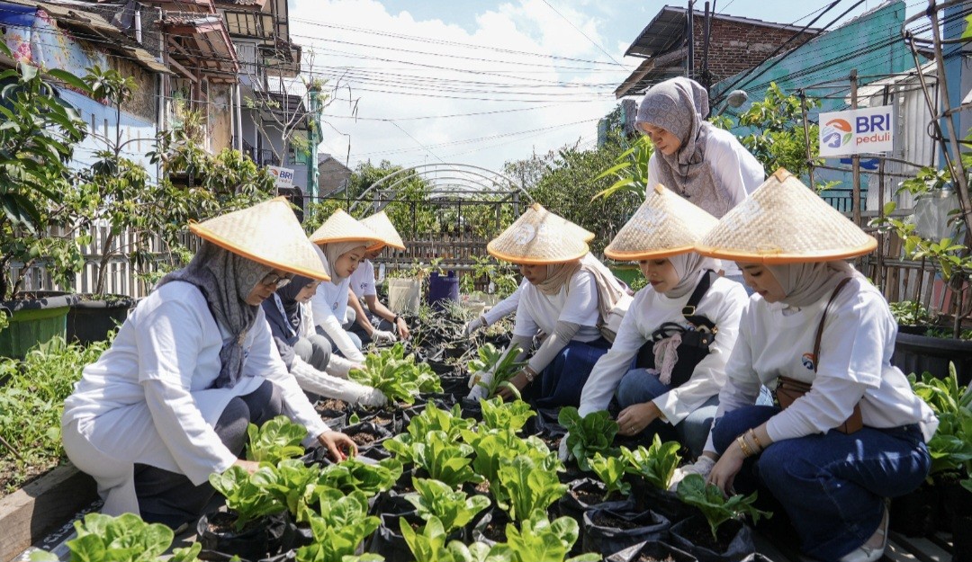 BRI Peduli Tegaskan Komitmen Dukung Ketahanan Pangan Melalui Panen Raya BRInita (FOTO:Dok BRI)