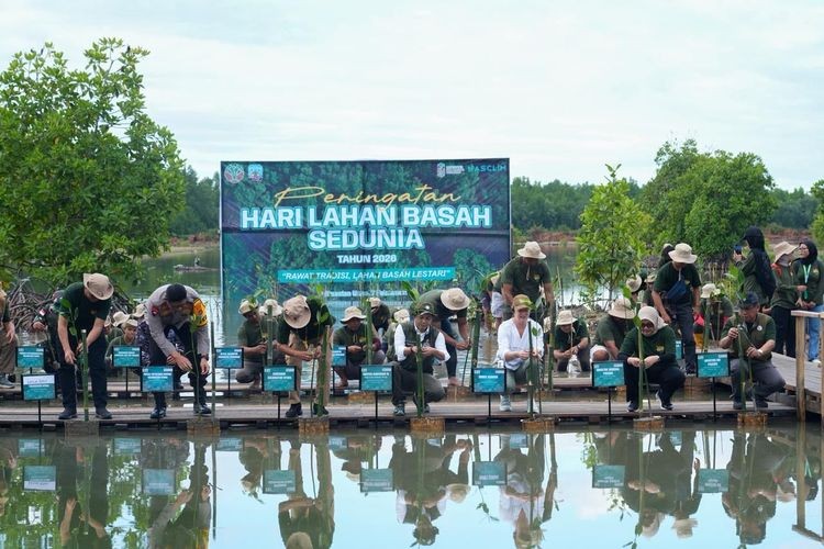 Menhut Tekankan Peran Mangrove bagi Ekologi dan Ekonomi Pesisir (FOTO:Dok Laman Kemenhut)