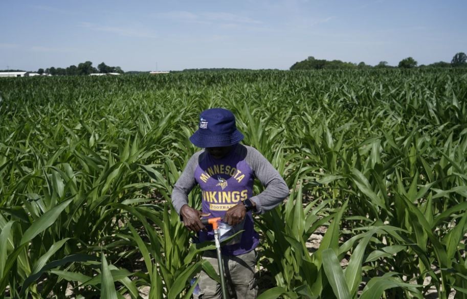 Penuhi Bahan Baku Industri, Indonesia Incar Komoditi Pertanian AS Senilai USD4,5 Miliar