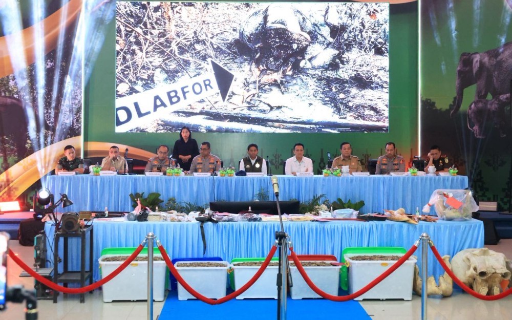 Polri Bongkar Jaringan Perburuan Gajah Sumatera, 15 Orang Diamankan