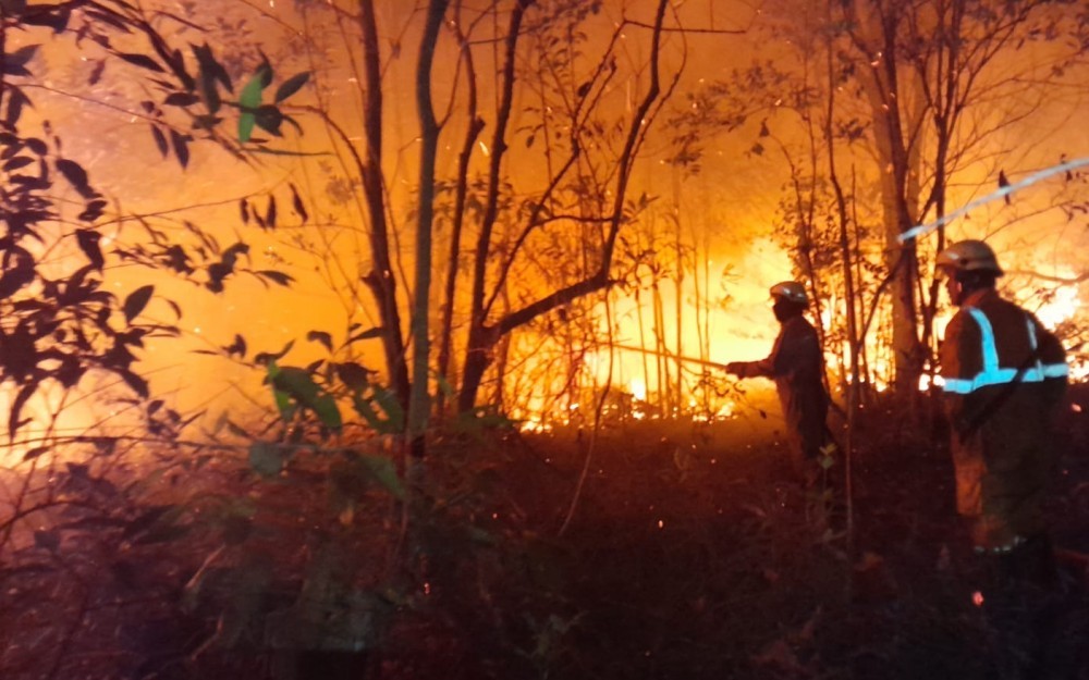 Riau Siaga Darurat Karhutla, 2.713 Hektare Terbakar Sepanjang Januari hingga Maret 2026 