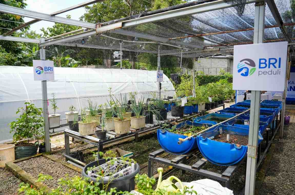 Perempuan Berdaya lewat BRInita, KWT Buaran Citra Lestari Manfaatkan Lahan Sempit Produktif. (Foto: Doc BBRI)