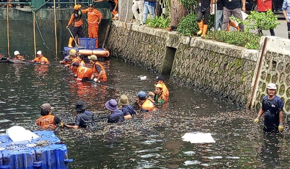 6,98 Ton Ikan Sapu-sapu Ditangkap dalam Operasi Pembersihan di 5 Wilayah Jakarta (FOTO:Dok Ist)
