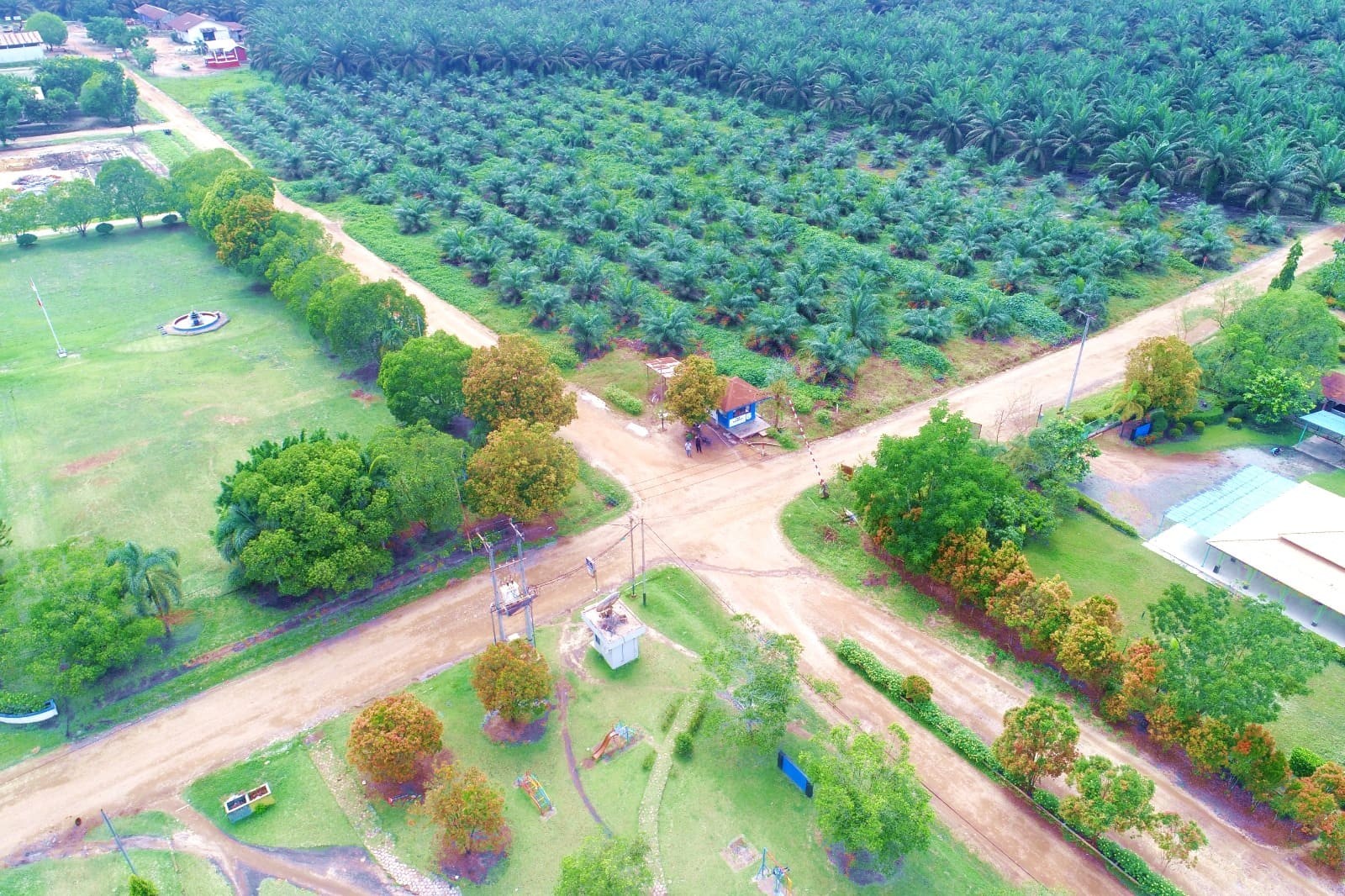 AEP Plantations Jajaki IPO Anak Usaha di BEI, Target Rampung Tengah 2026. (Foto: AEPNP)