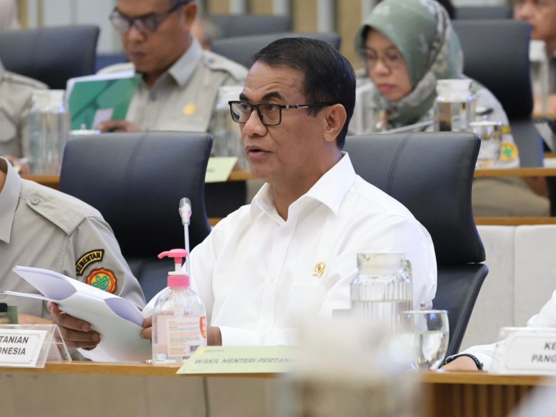 Di Tengah Krisis Global, Ketahanan Pangan Topang Stabilitas Ekonomi RI. (Foto: Ilustrasi)