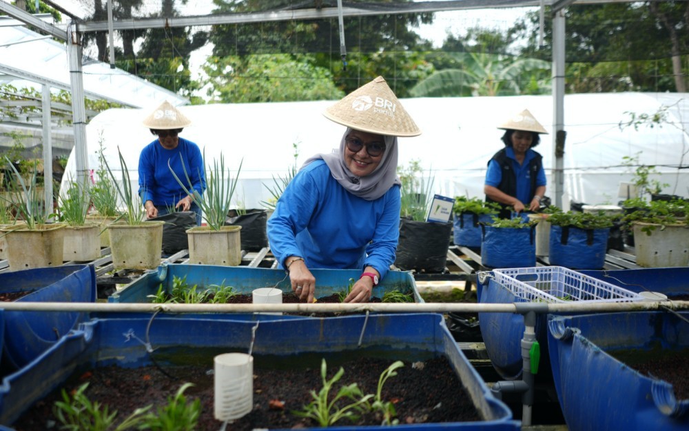 Dari Kartini untuk Bumi: BRI Berdayakan Perempuan Lewat Urban Farming Program BRInita