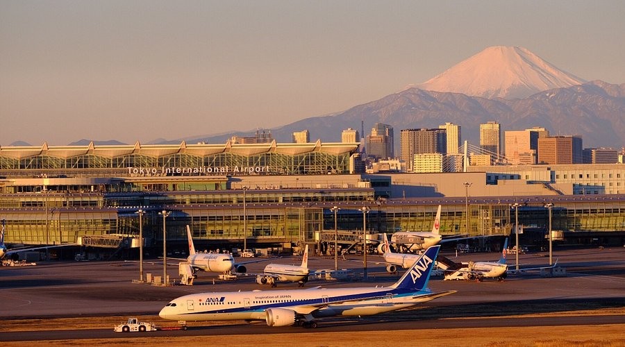 Bandara Haneda Tokyo Akan Uji Coba Gunakan Robot Humanoid untuk Ground Handling. (Foto: Tripadvisor)