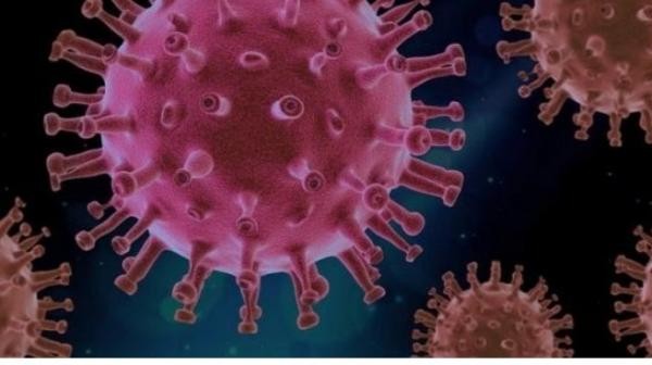 Kemenkes Ungkap Ada Dua Suspek Diduga Tertular Virus Hanta di Indonesia. (Foto: iNews Media Group)