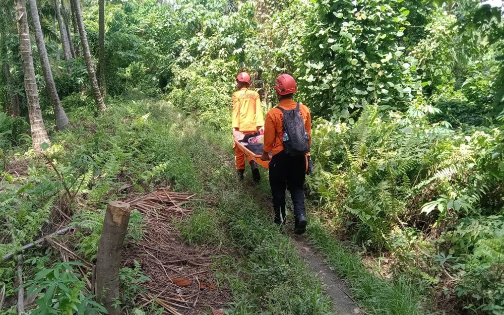 20 Pendaki Tersesat dan Terluka Saat Gunung Dukono Erupsi, Ada WNA Singapura