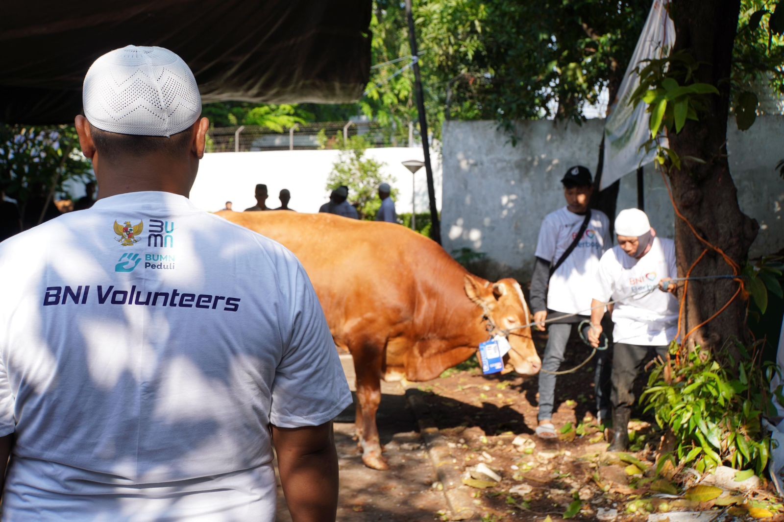 BNI (BBNI) Distribusikan 1.200 Hewan Kurban ke Berbagai Daerah Indonesia (FOTO:Dok BNI)