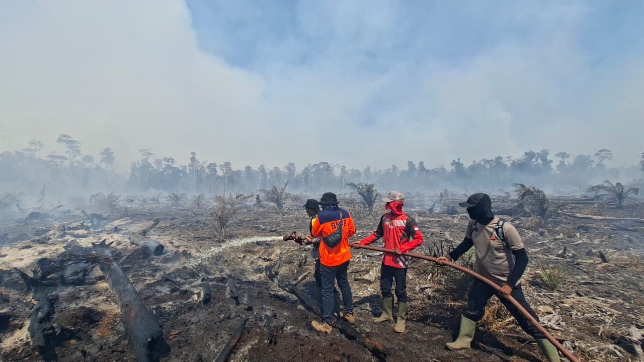 Karhutla di Aceh dan Riau, Lebih dari 15 Ribu Hektare Lahan Terbakar. (Foto Istimewa)