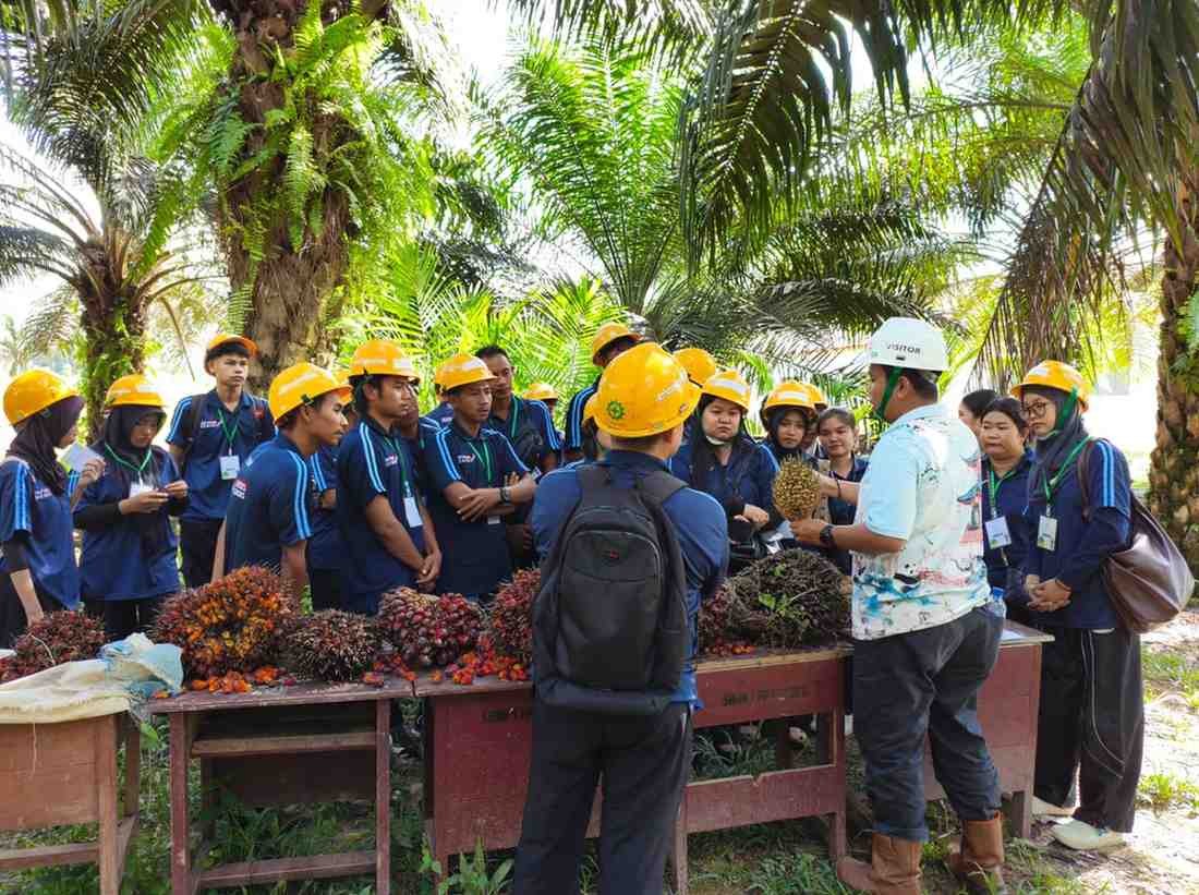PERKASA Dari TAP Untuk Negeri Dorong Petani Sukamara Tingkatkan Kapasitas. (Foto: Istimewa)