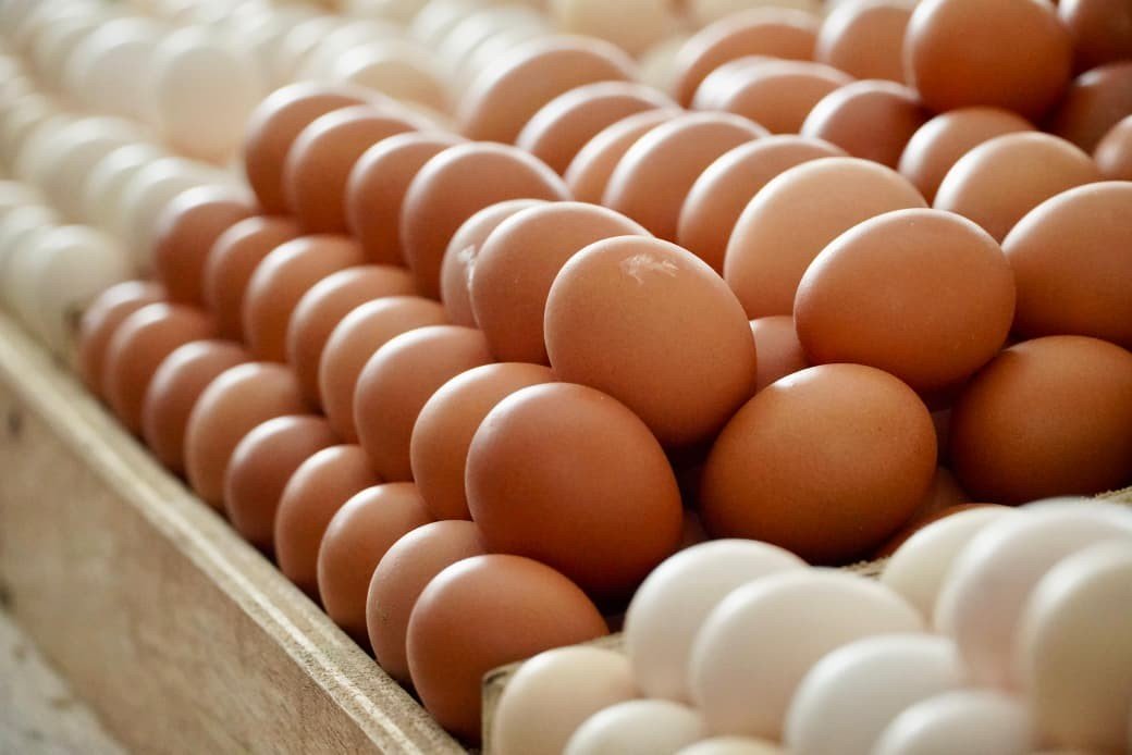 Harga Telur di Tingkat Peternak Terus Turun, Bapanas Janji Jaga Stabilitas. (Foto: Dok. Bapanas)