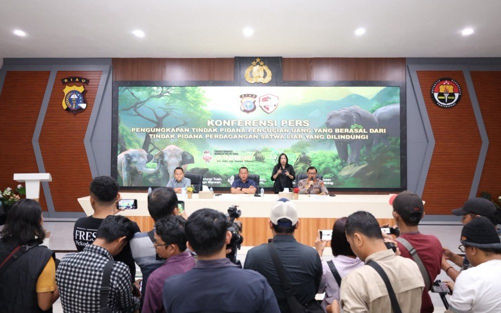 Polri Bongkar TPPU Perdagangan Gading Gajah Sumatera, Aliran Uang Capai Rp1,8 Miliar