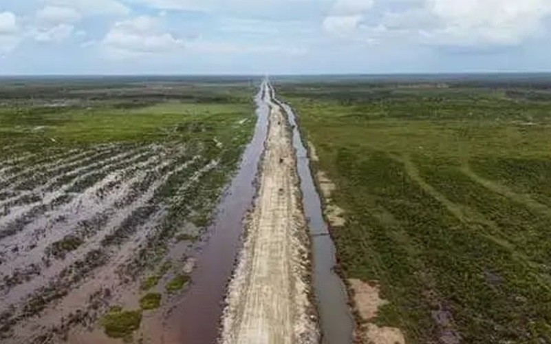 PSN Wanam yang fokus pada ketahanan pangan dan energi diyakini bakal menjadi motor penggerak ekonomi Papua Selatan. (Foto: iNews Media Group)