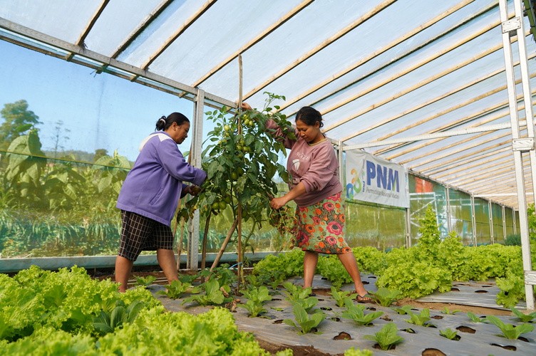Indonesia Sustainability Award Apresiasi Komitmen ESG dan Pemberdayaan Berkelanjutan PNM. (Foto: PNM)