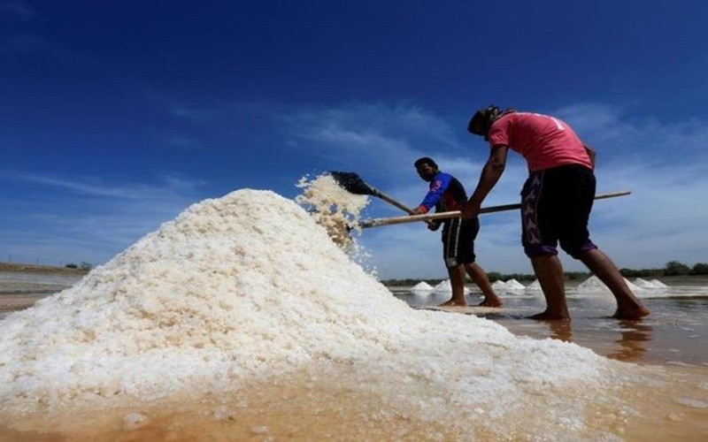 INDEF menilai, target swasembada garam 2027 sulit tercapai selama neraca kebutuhan belum disusun secara transparan dan berbasis data. (Foto: iNews Media Group)
