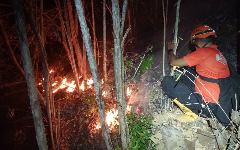 Karhutla Terjadi di Kalimantan, Puluhan Hektare Lahan Terbakar