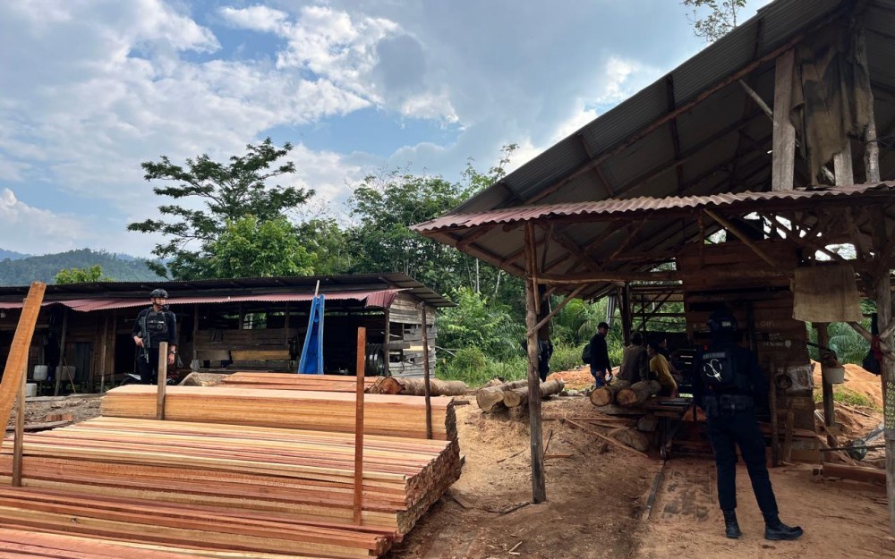 Polri Bongkar Sawmill Ilegal di Kampar, Ratusan Batang Kayu Olahan Disita