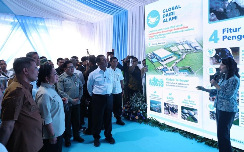 PT Global Dairi Bersama resmi membangun peternakan sapi perah berskala raksasa di Kabupaten Brebes, Jawa Tengah. (Foto: iNews Media/Tangguh Yudha)