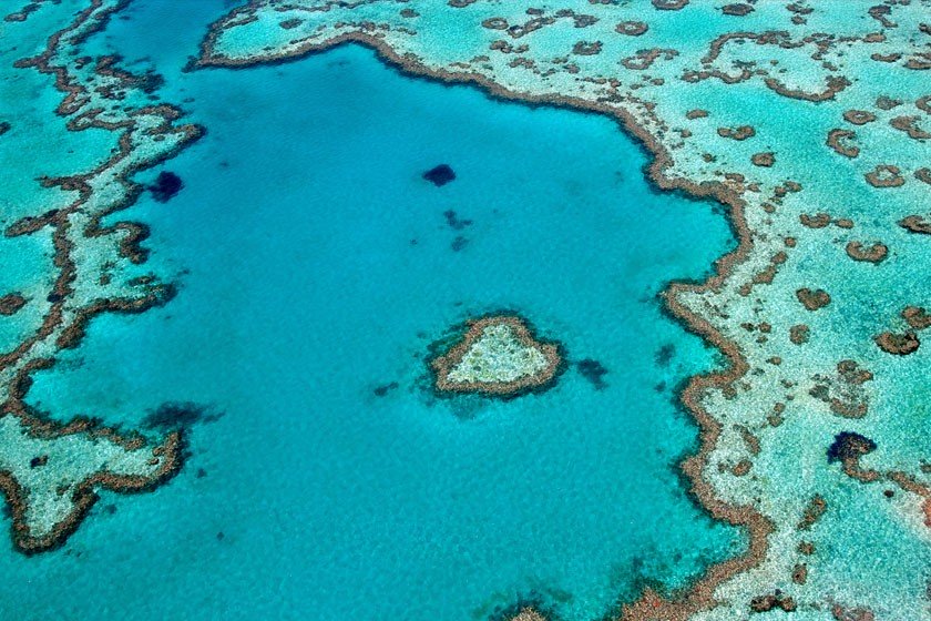Destinasi Scuba Diving The Great Barrier Reef Terancam Mengalami Pemutihan Massal Terumbu Karang. (Foto: Great Barrier Reef)