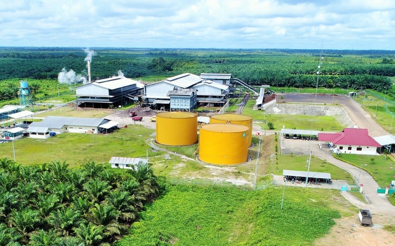 PT Pinago Utama Tbk dengan kode emiten PNGO resmi berganti nama menjadi PT AEP Pinago Plantations Tbk. (Foto: Ist)