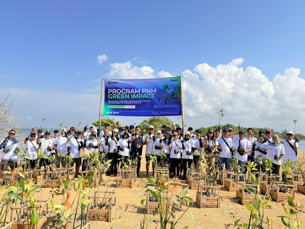 PNM Hadirkan Dampak Berantai bagi Lingkungan dan Ekonomi Pesisir di Hari Mangrove Sedunia. Foto: PNM.