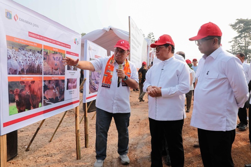 Pemprov DKI Jakarta Siapkan Peternakan Terintegrasi di Ciangir, Daya Tampung 5.000 Ekor Sapi. (Foto: Pemprov DKI Jakarta)