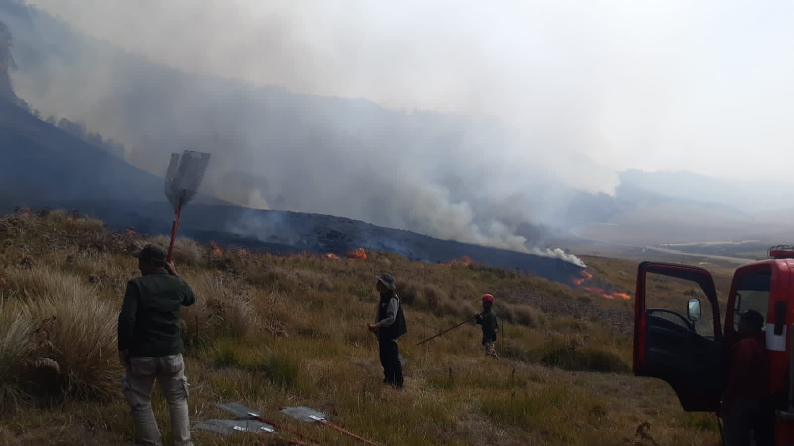 Sebagian Kawasan Bromo Kebakaran, Jalur Wisata Ditutup Sementara, Ini Proses Penanganannya. (Foto: BNPB)