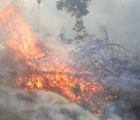 Kawasan Gunung Rinjani Terbakar Seluas 30 Hektare, Tidak Ada Korban Jiwa. (Foto: BNPB)