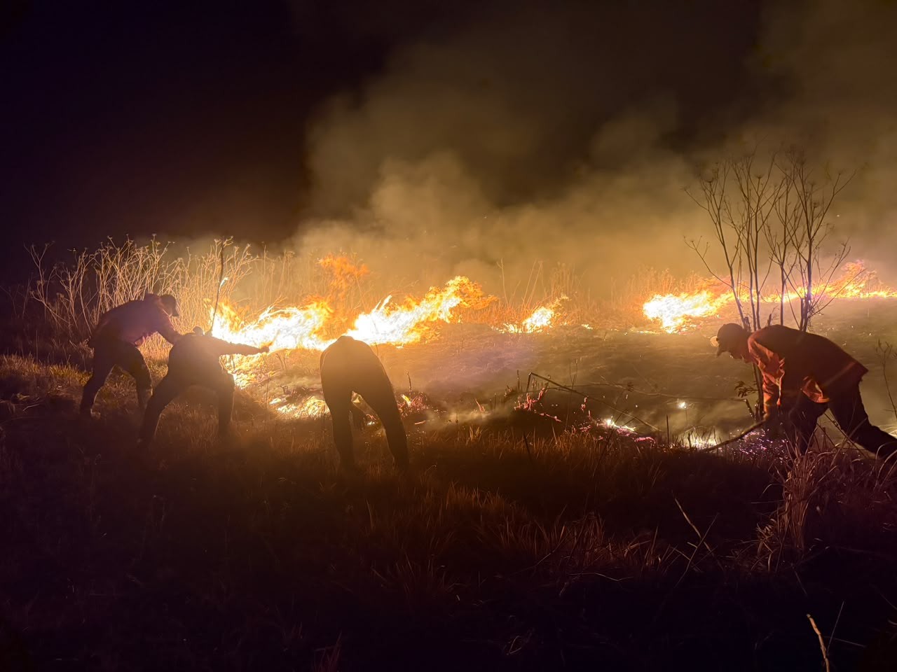 Puncak El Nino Agustus-September, BNPB Perkuat Operasi Darat Hadapi Karhutla (FOTO:Dok Ist)