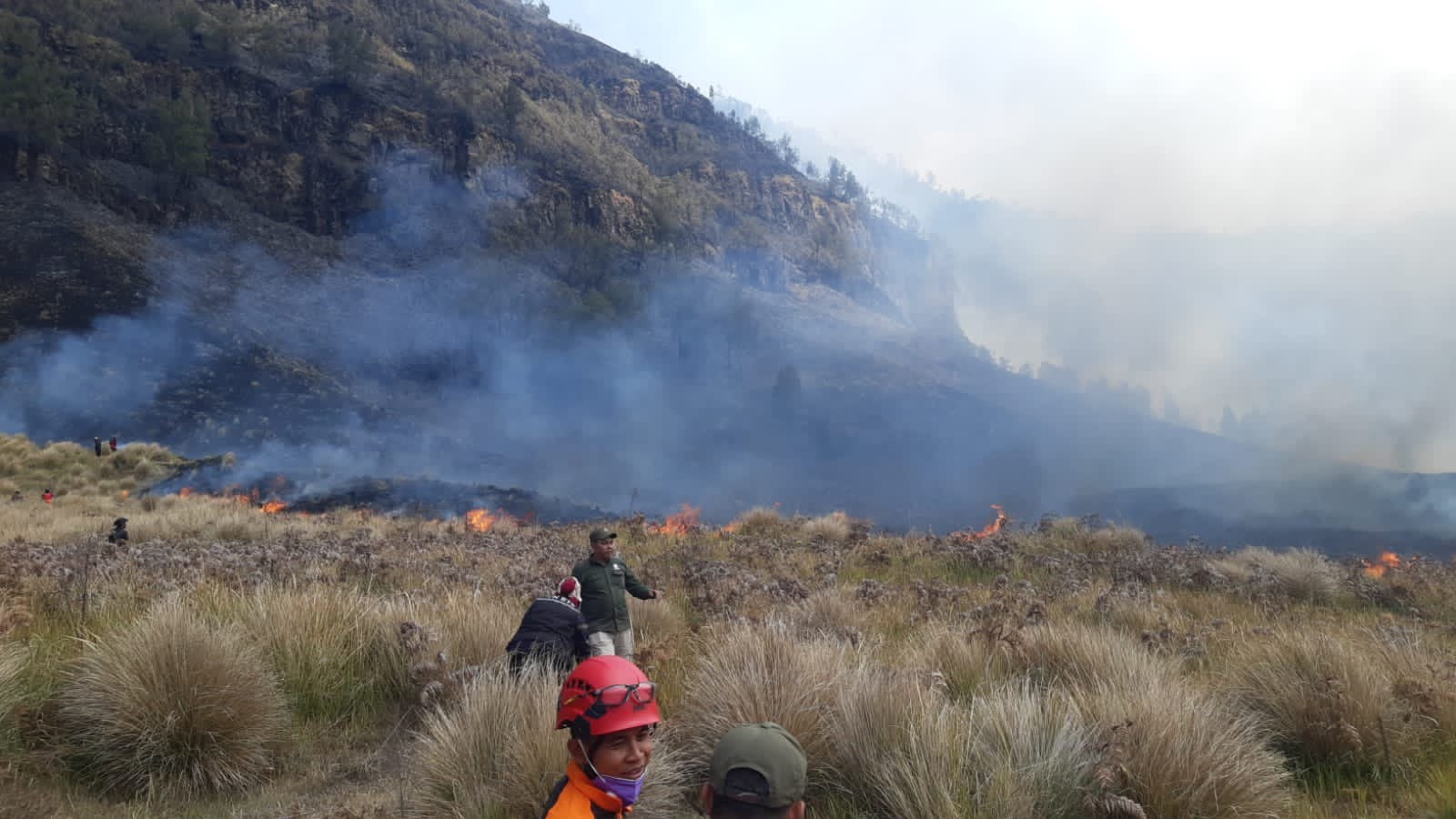 Karhutla Bromo Capai 742,70 Hektare, Kawasan Wisata Ditutup Sementara  (FOTO:Dok Ist)