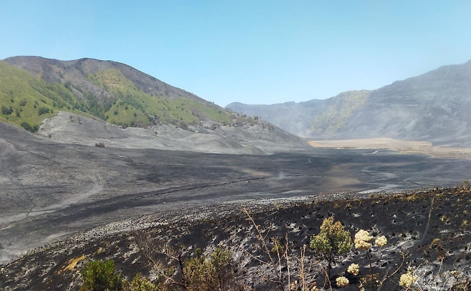 Pemadaman Rampung, Kunjungan Wisata Gunung Bromo Resmi Kembali Dibuka. (Foto: MNC Media/Avirista)