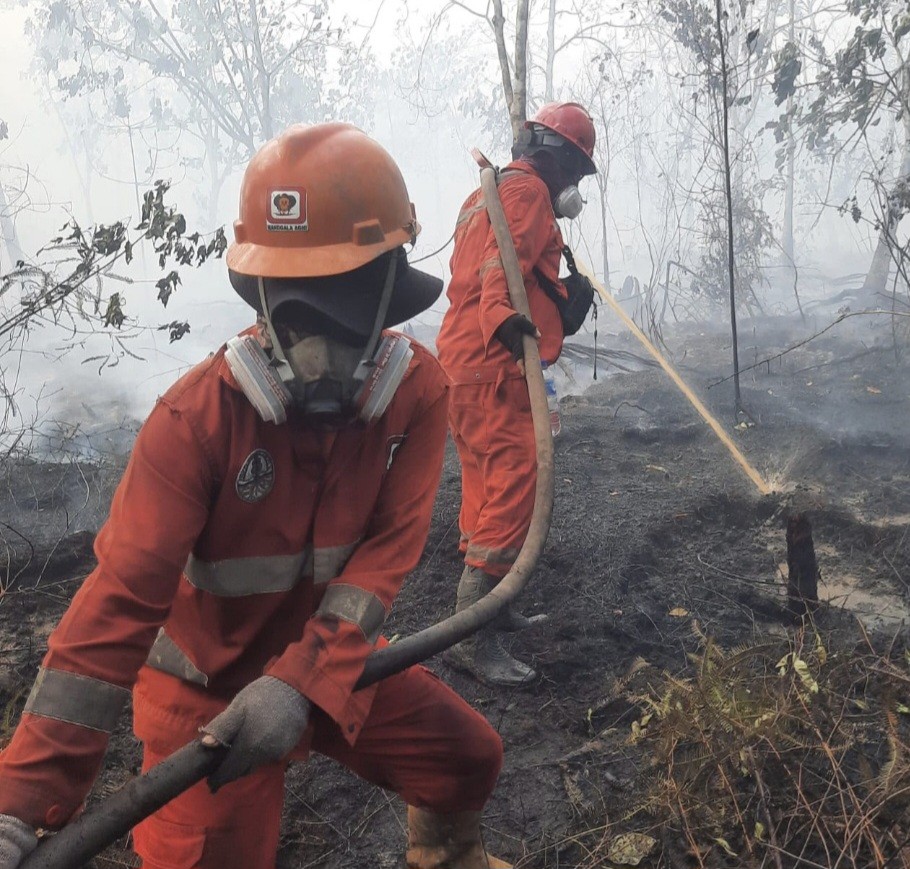 12.880 Personel Dikerahkan Tangani Karhutla di Kalimantan (FOTO:Dok Ist)