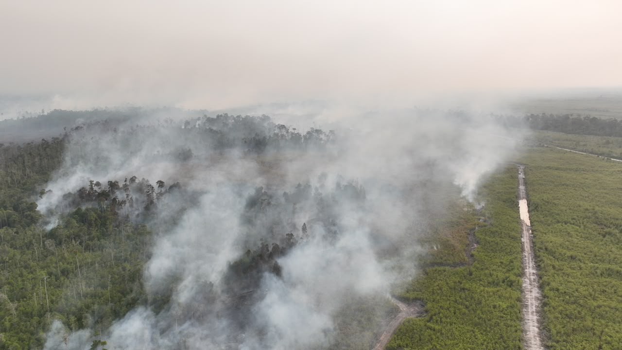 Karhutla Melanda, BNPB Perkuat Satgas Udara dan Water Bombing di 6 Provinsi Prioritas. (Foto: BNPB)