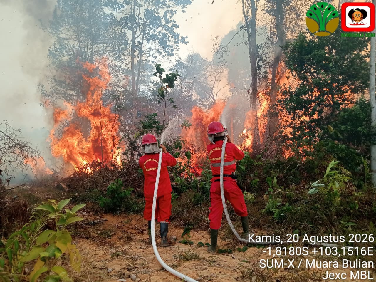 BNPB Temukan 1.842 Titik Panas Penyebab Karhutla Kalimantan, Terbanyak di Kalteng. (Foto: Dok. BNPB)