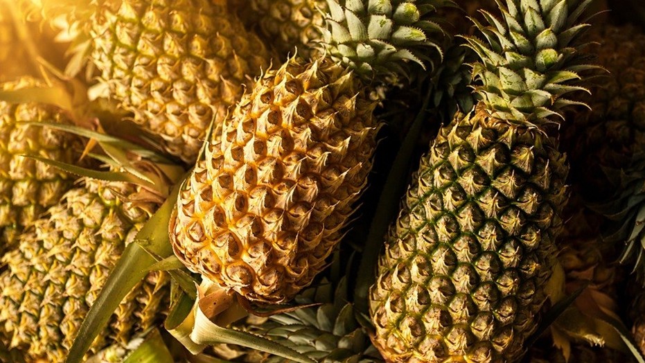 307 Ton Buah Pisang, Nanas, dan Semangka Mampu Dihasilkan dari Lahan Terdegradasi. (Foto Istimewa)