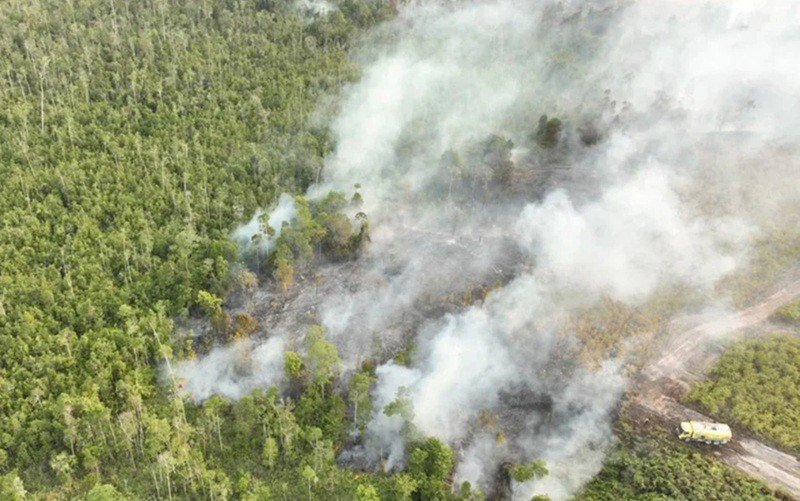 Akademisi mengingatkan pentingnya verifikasi untuk memastikan kondisi kebakaran hutan dan lahan di Kalimantan. (Foto: iNews Media Group)